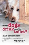 Why do Dogs drink out of the Toilet ?