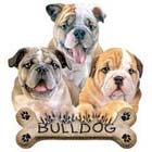 Bulldog Puppies Adult Sweatshirt