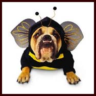 Zelda Bee Bulldog Costume