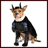Batman Dog Costume