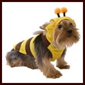 Bee Dpg Halloween Costume