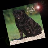 Black Pugs calendar 2007