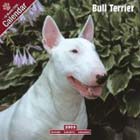 Bull Terrier Calendar 2009