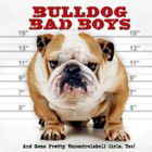 Bulldog Bad Boys