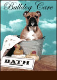 Daily Care of your Bulldog