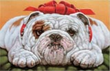 Christmas bulldog cards