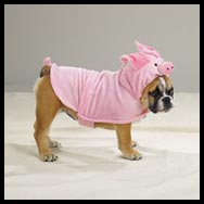 Bulldog Halloween Costume