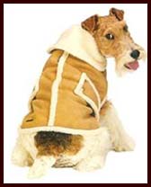 Shearling Dog Coat