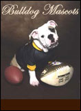 Bulldog Mascots