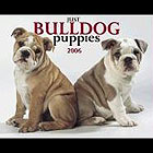 Bulldog Puppies calendar 2006