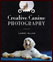 Creative Canine Photography