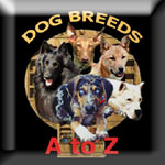 Dog breeds A to Z