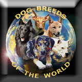 Dog breeds of the world