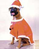 Holiday dog costume