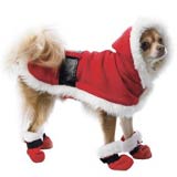 Santa coat for dogs