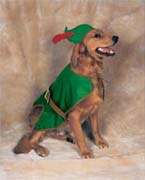 christmas dog costume