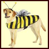 Bee Halloween Costume for large dogs