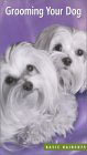 Grooming Your Dog Basic Haircuts