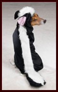 Little Stinker Dog Halloween Costume