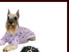 dog Pyjamas lilac