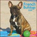 French Bulldogs 2009