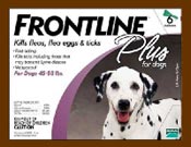 6 MONTH Frontline PLUS Purple for Dogs 45-88 lbs