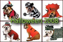 Halloween Bulldog Costumes