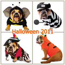 Bulldog Halloween Costumes