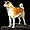 Japanese dog breeds