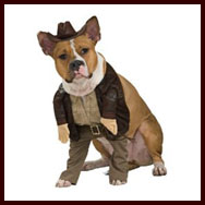 Indiana Jones Halloween Dog Costume