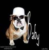 Baby the Bulldog
