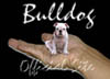 Bulldog Club Japan