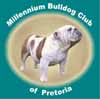 The Millennium Bulldog Club of Pretoria