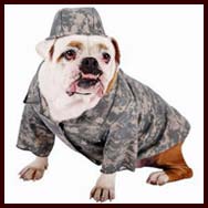 Army Grunt Pet Halloween Costume