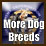 More dog breeds