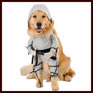 Ninja Dog costume