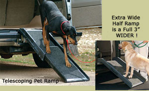 Pet ramp