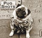 Pug Shots 2008 Calendar