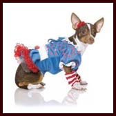 Raggedy Ann Pet Costume for Small dogs