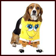 Spongebob Dog Costume