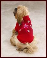 Star LED lighted Christmas Dog Sweater