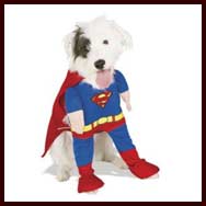Superman Dog Halloween Costume