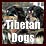 Tibetan dog breeds